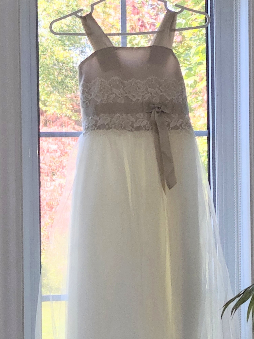 David's Bridal Ivory Tulle Dress with Champagne Bodice